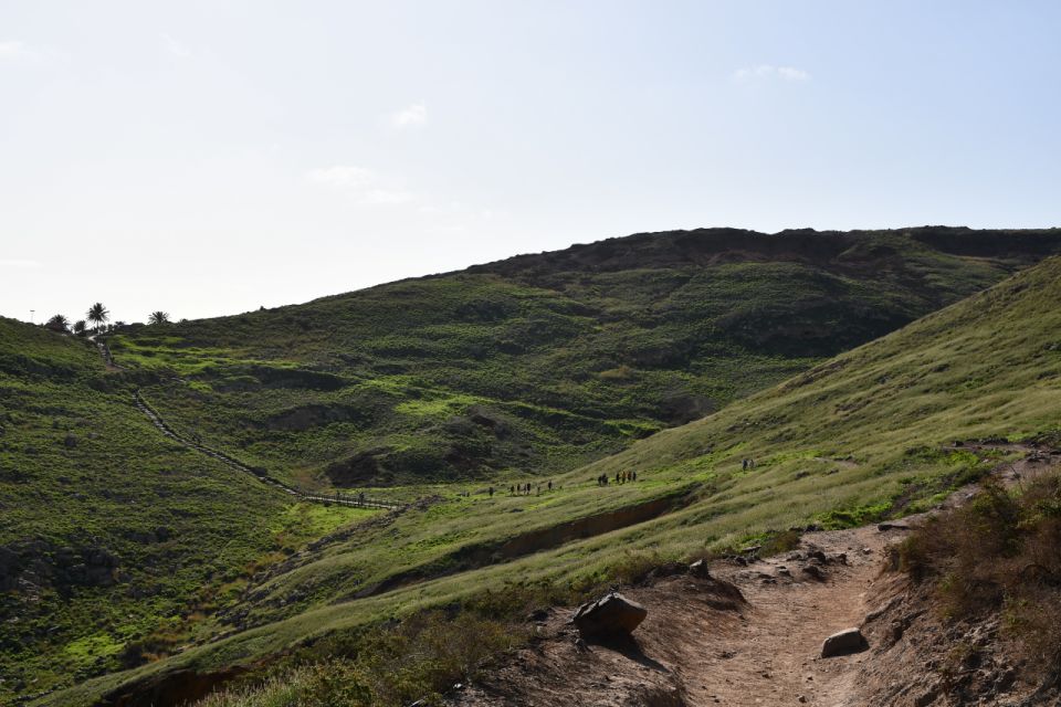 Ponta De São Lourenço-Hike by Overland Madeira - Common questions