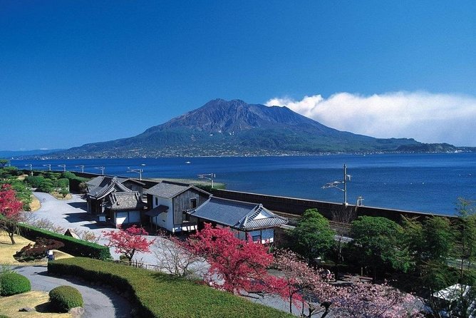 Port Pick-Up: Kagoshima Private Tour Licensed Guide ＆ Vehicle - Common questions
