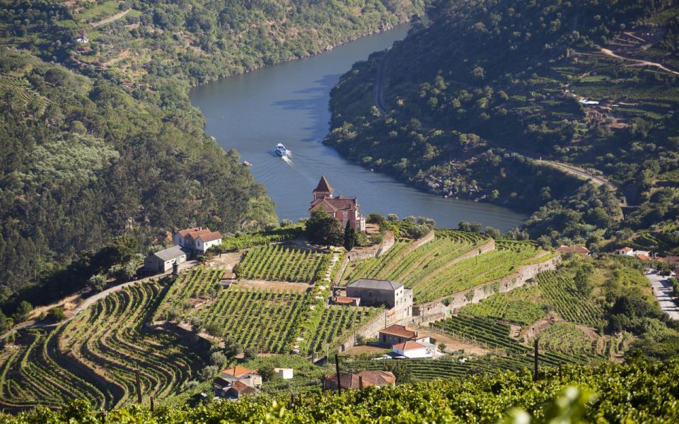 Porto and Douro Valley 3-Day Tour From Lisbon - Day 2: Douro River Cruise