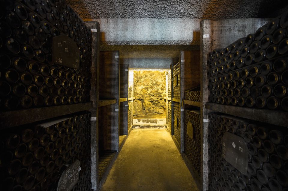 Porto: Burmester Cellar Tour With Tasting & Pairing Options - Additional Information