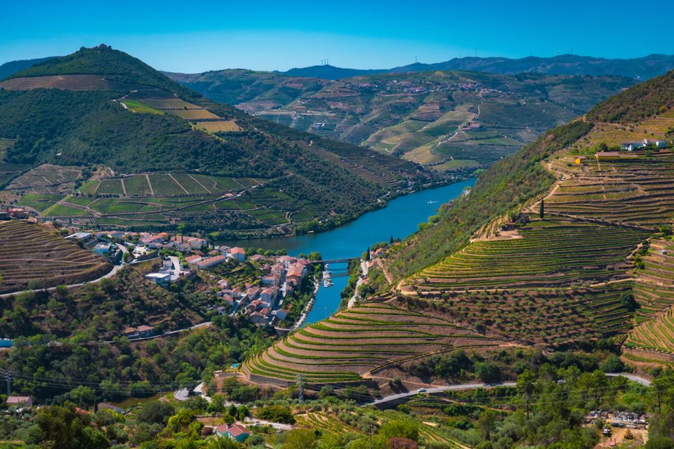 Porto: Douro Valley Tour With Lunch, Boat Cruise & Tastings - Additional Information