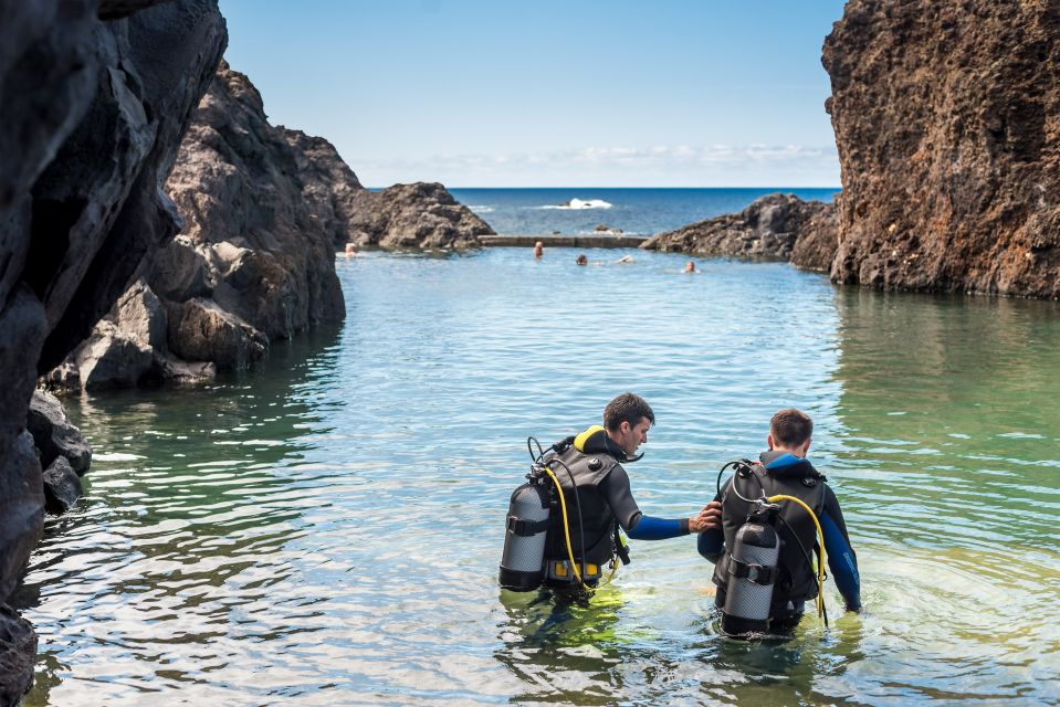 Porto Moniz: Diving With Sharks and Rays in Madeira Aquarium - Getting There