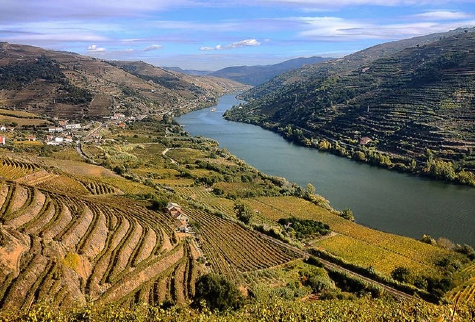 Porto: Private Douro Tour, Premium Cruise, Lunch & Winery - Douro Valley Cruise Details