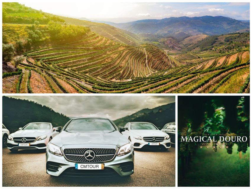 Porto: Private Douro Valley Day With Lunch - Location and Category