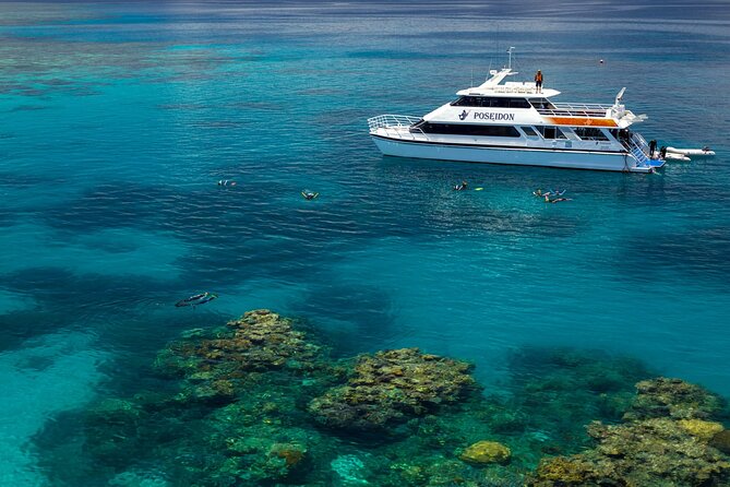 Poseidon Outer Great Barrier Reef Snorkeling and Diving Cruise From Port Douglas - Customer Reviews and Testimonials