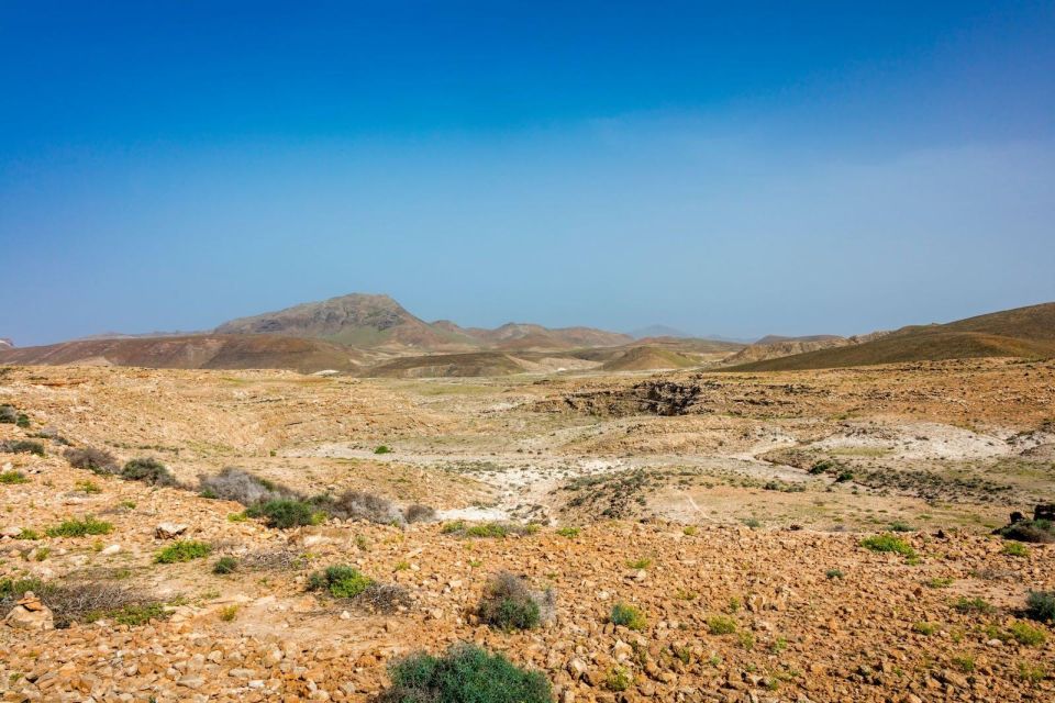 Postcards of Boa Vista 4x4 Tour With Shipwreck & Local Lunch - Booking Information