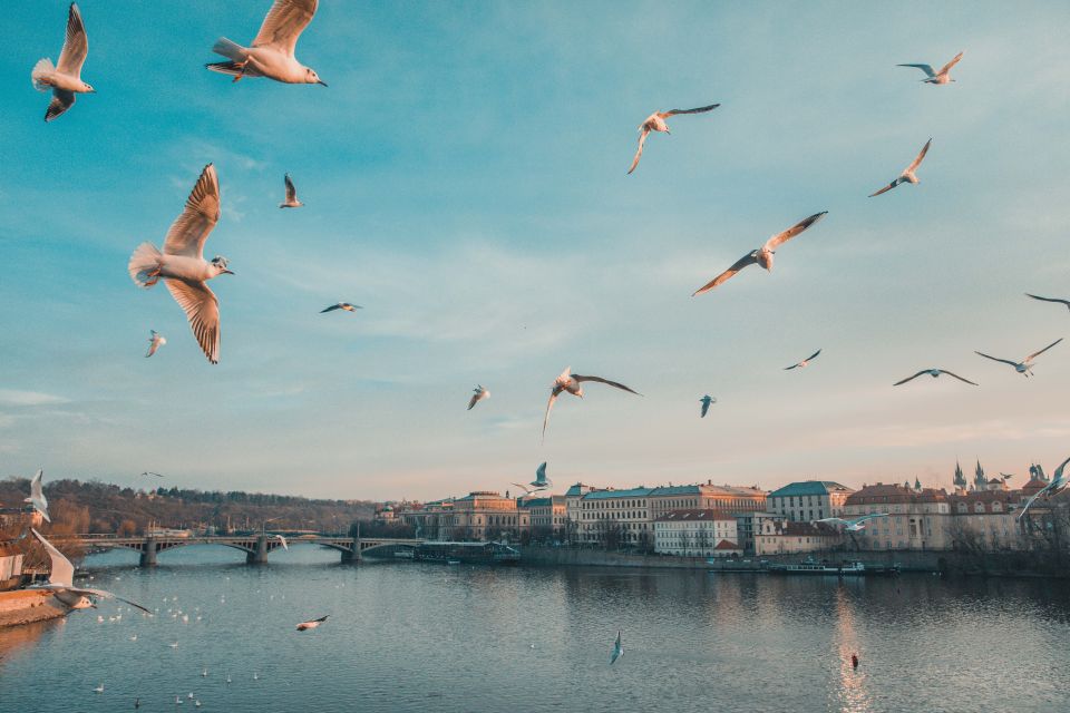 Prague: Capture the Most Photogenic Spots With a Local - Participant Selection and Tour Information