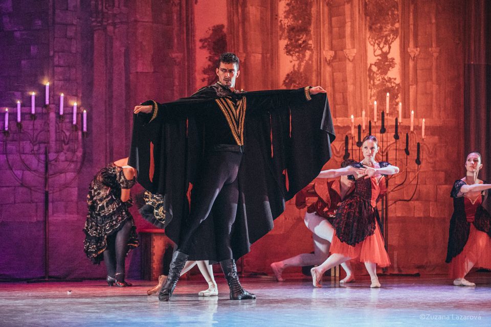 Prague: The Best of Swan Lake Ballet Tickets - Customer Reviews