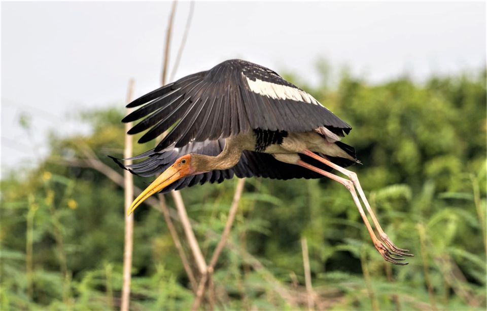 Prek Toal Birds Sanctuary & Floating Village Private Tour - Logistics and Booking Information