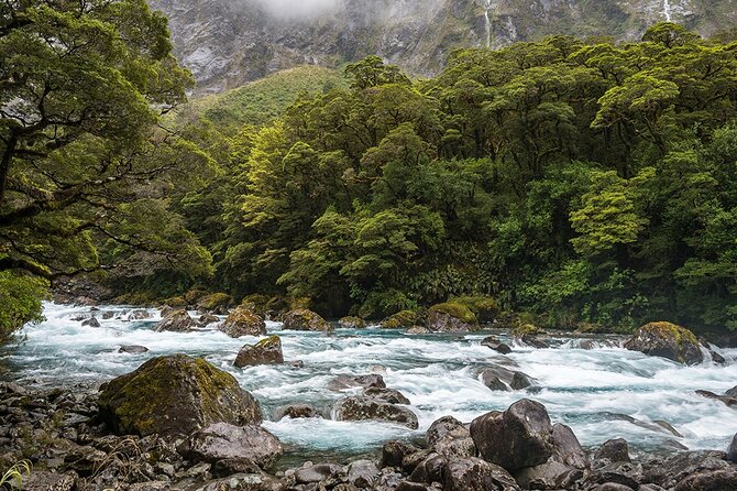 Premium Milford Sound and Te Anau Highlights 2 Days Small Group Tour - Cancellation Policies