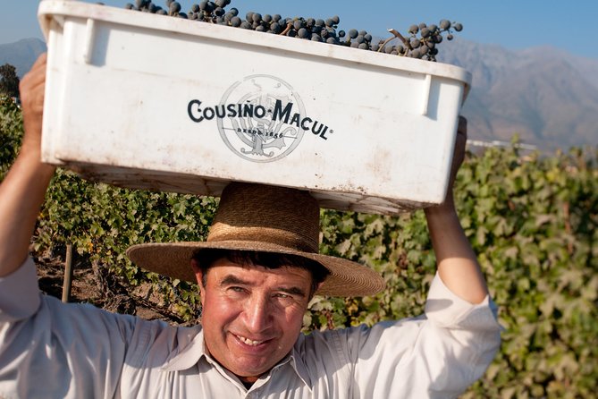 Premium Wine Tour in Viña Cousiño Macul Spanish Official - Last Words