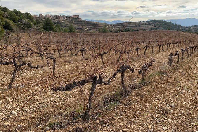 Priorat Wineries Tour With Wine Tastings and Lunch From Barcelona - Guide Appreciation