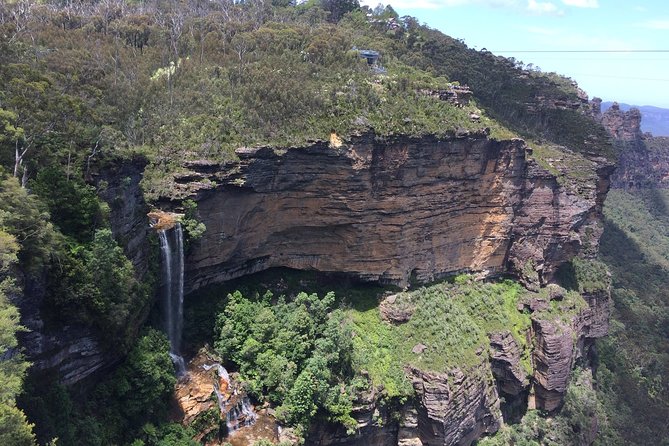 Private 1 Day Full Blue Mountains Tour Koalas Cruise Return - Additional Options