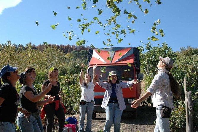 Private 6-Hour Tour of Three Etna Wineries With Food and Wine Tasting - Tour Highlights