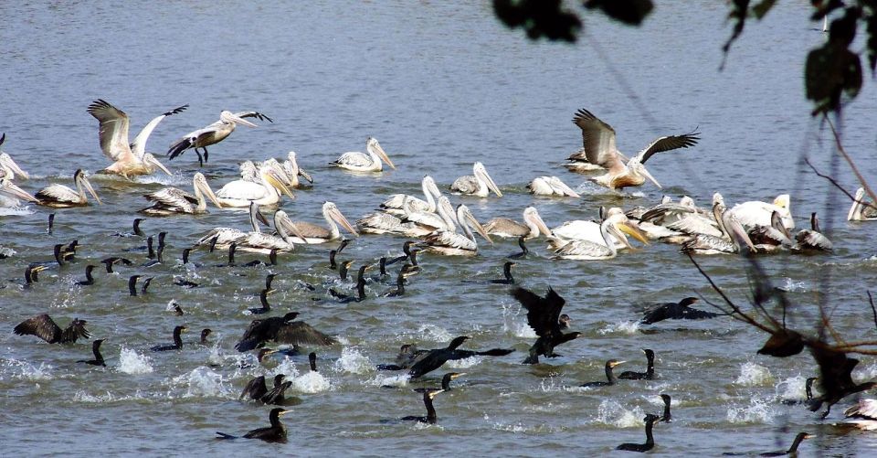 Private Agra Overnight Tour With Bharatpur Bird Sanctuary - Common questions