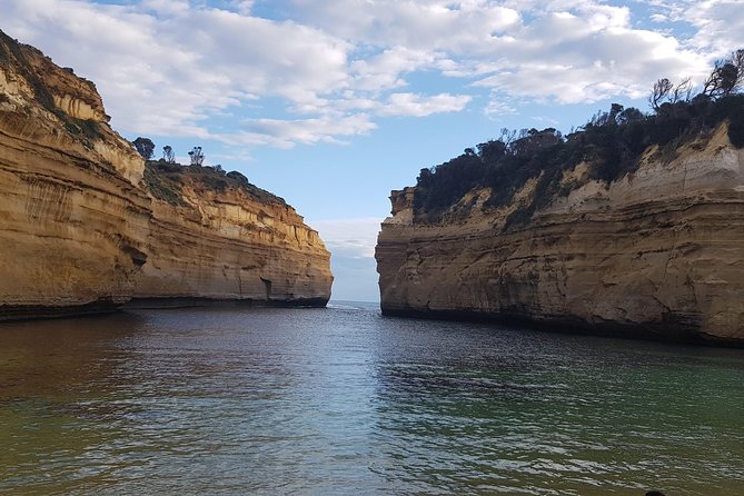 Private and Customised Great Ocean Road and 12 Apostles Tour - Positive Experiences and Viator Details