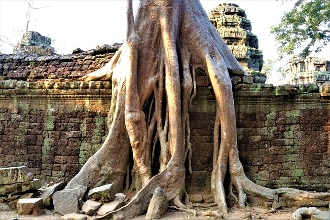 Private Angkor Temples Walking Tour From Siem Reap - Highlights of Angkor Temples