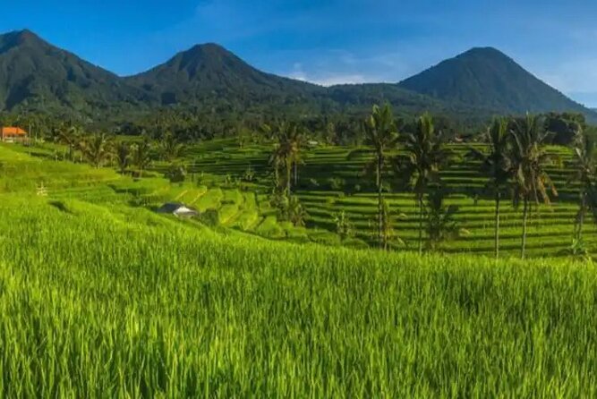 Private Bali Tour of Ubud Swing and Ulun Danu Beratan Temple - Common questions