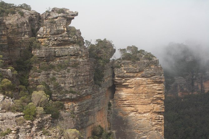 PRIVATE Blue Mountains Day Tour From Sydney With Wildlife Park and River Cruise - Common questions