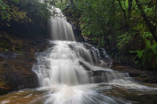 PRIVATE Blue Mountains & Scenic World Tour in a Luxury Car - Cancellation Policy and Viator Information