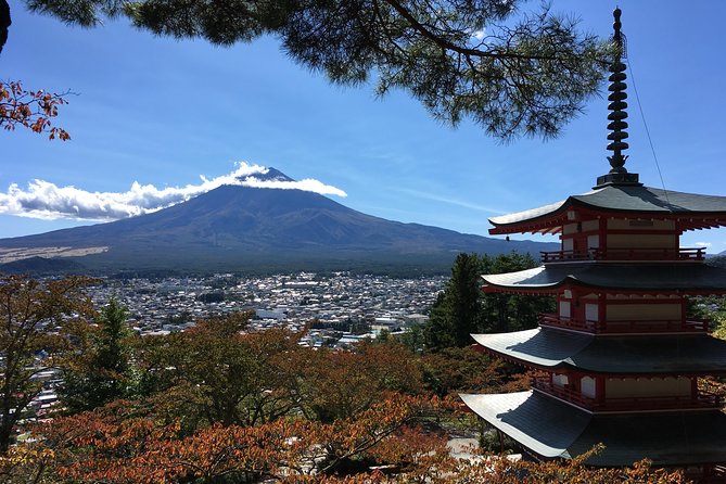 Private Car Tour to Mt. Fuji Lake Kawaguchiko or Hakone Lake Ashi - Family-Friendly Experience