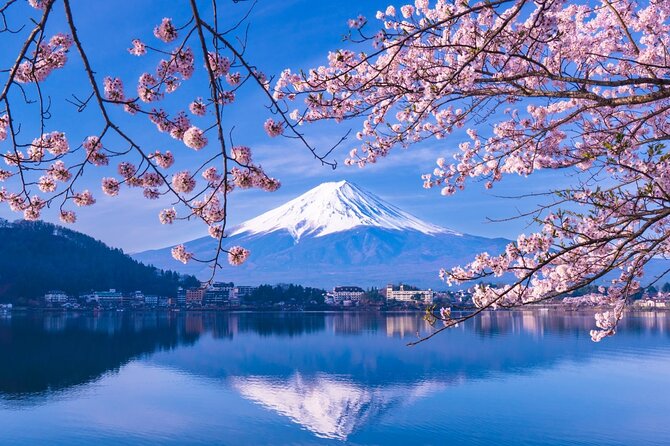 Private Car/Van Charter Full Day Tour MT Fuji And Hakone, (Guide) - Tour Guide Details