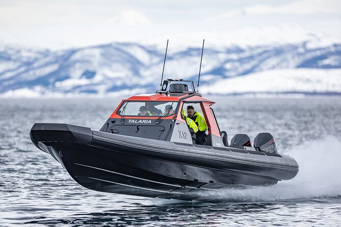 Private Cruise by High Speed RIB in Norway - Health and Safety Notes