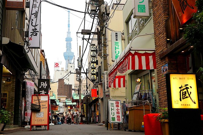 Private Customizable Walking Tour of Tokyo - Guide Assistance and Customization