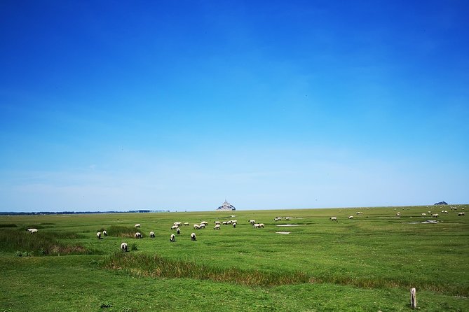 Private Day Tour of Mont Saint-Michel From Bayeux - Overall Experience and Last Words