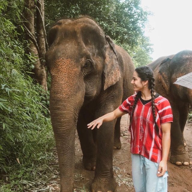 Private Day Trip Doi Inthanon, Trekking, Elephant Santuary - Additional Information