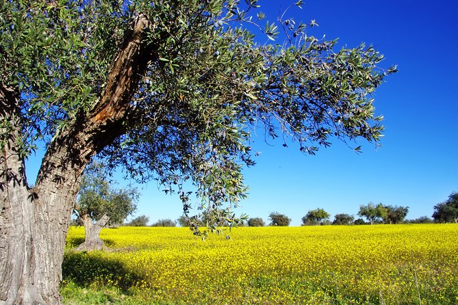 Private Day Trip to Canal,Ancient Corinth,Myceane and Nauplion - Visual Highlights