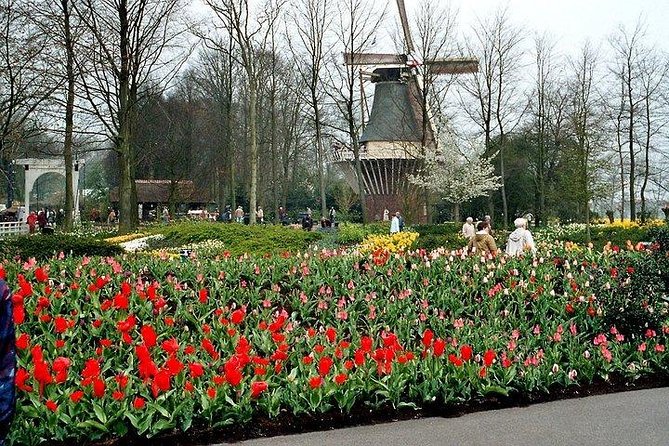 Private Day Trip to the Keukenhof Gardens and Giethoorn - Giethoorn Canal Tour