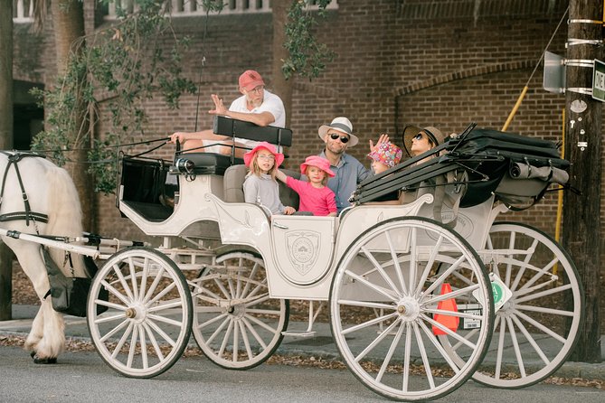 Private Daytime or Evening Horse-Drawn Carriage Tour of Historic Charleston - Historical Insights and Learning Opportunities