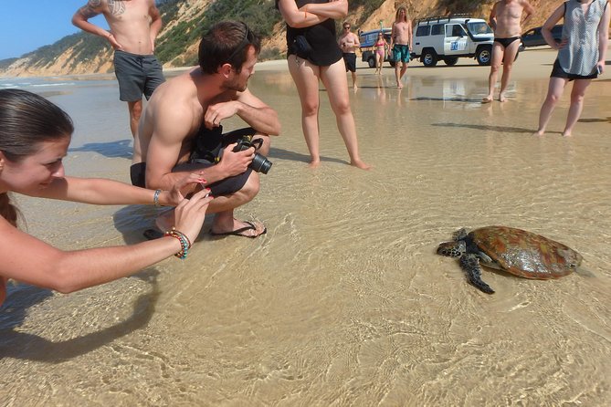 Private Double Island Wildlife Tour - Noosa - Photo Opportunities