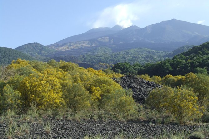 Private Etna Tour From Messina Cruise Terminal Lunch at Winery - Common questions