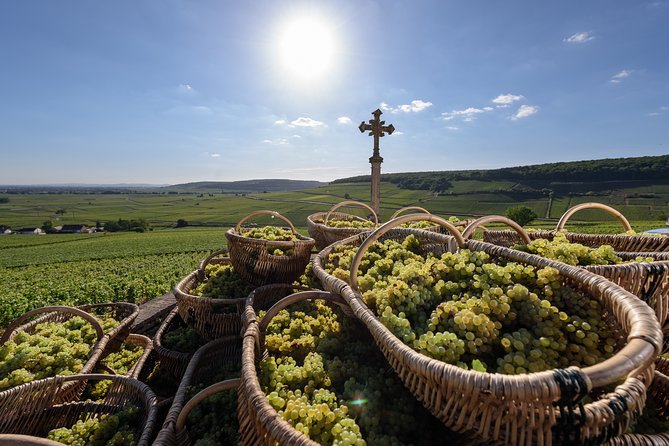 Private Excursion to Côte De Beaune and Côte De Nuits (Full Day) - Exclusive Vineyard Visits