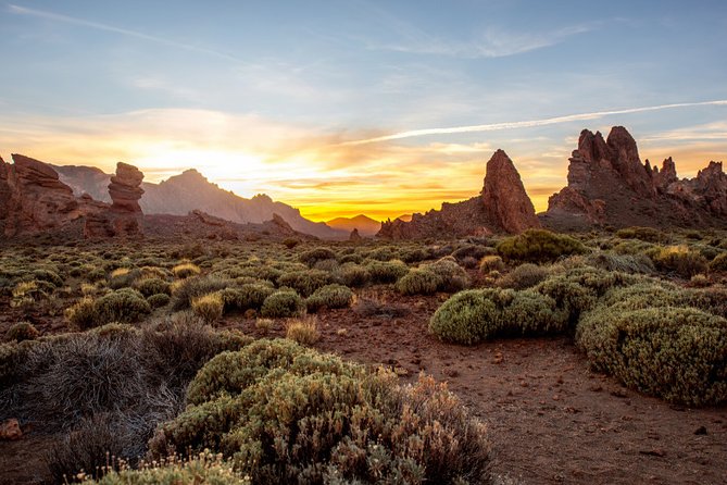 Private Excursion to Teide National Park - Tour Highlights