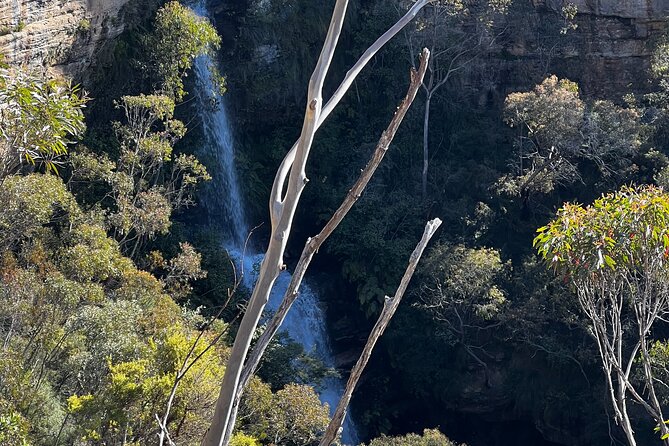 PRIVATE Featherdale Zoo Blue Mountains Scenic World in Luxury Car - Booking and Reservation Process