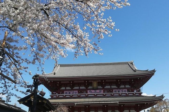 Private Full-Day Cherry-Blossom Tour of Tokyo With Tsukiji - Traveler Reviews