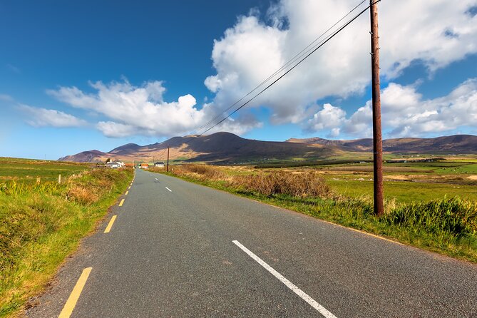 Private Full-Day Dingle Peninsula Slea Head Drive Tour - Optional Activities