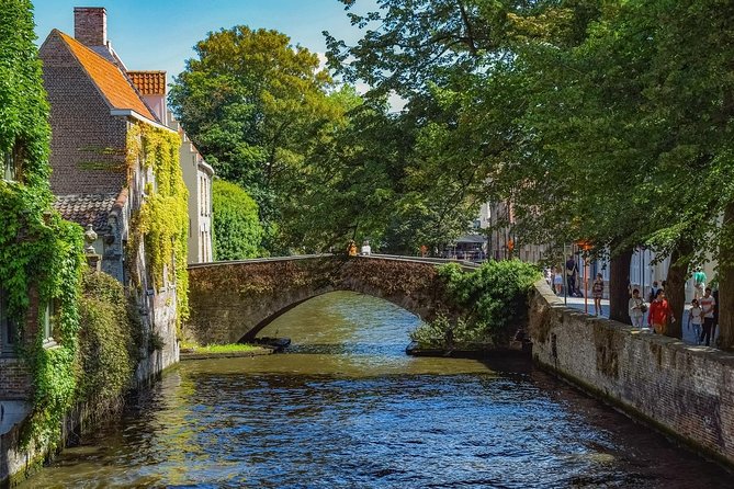Private Full Day Sightseeing Tour to Bruges From Amsterdam - Traveler Reviews and Testimonials