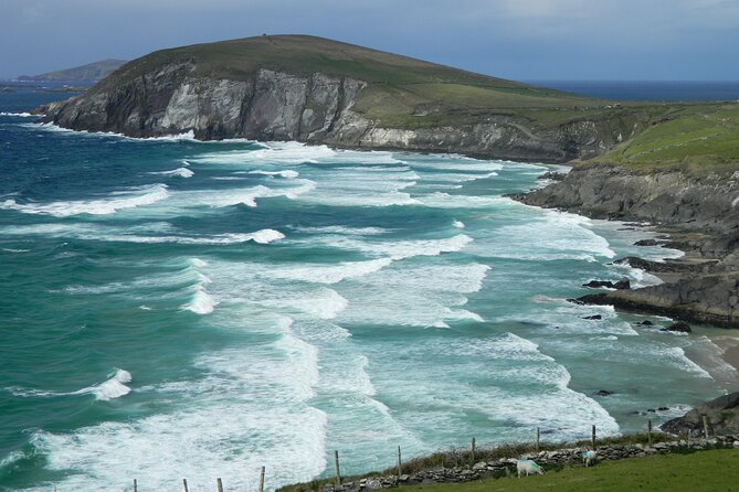 Private Full-Day Tour to Dingle and Slea Head - Photo Opportunities