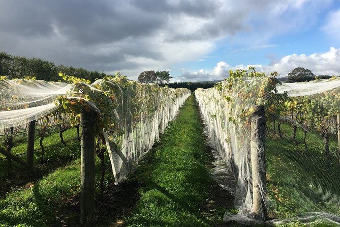 Private Full-Day Wineries Tour With Lunch, Martinborough (Mar ) - Directions for Booking