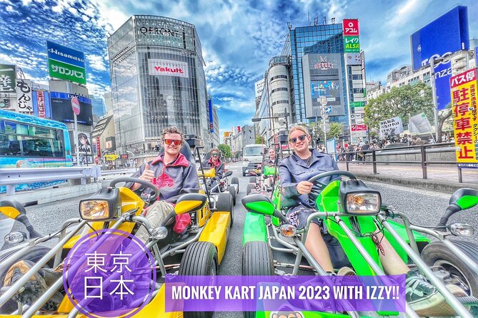 Private Go-Karting Tour of Shinjuku With Cartoon Costumes (Mar ) - Last Words