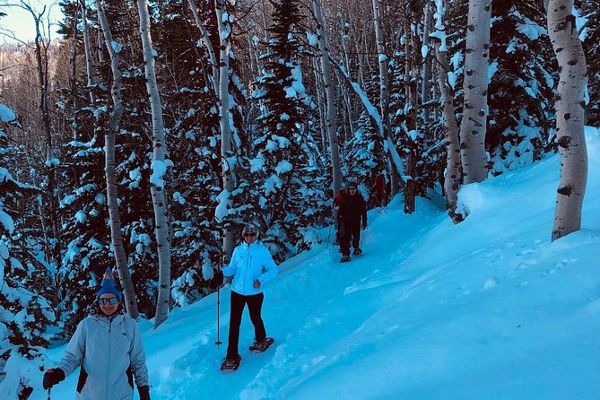 Private Guided Snowshoe Excursion in Park City (9:30am and 1:30pm Start Times) - Last Words