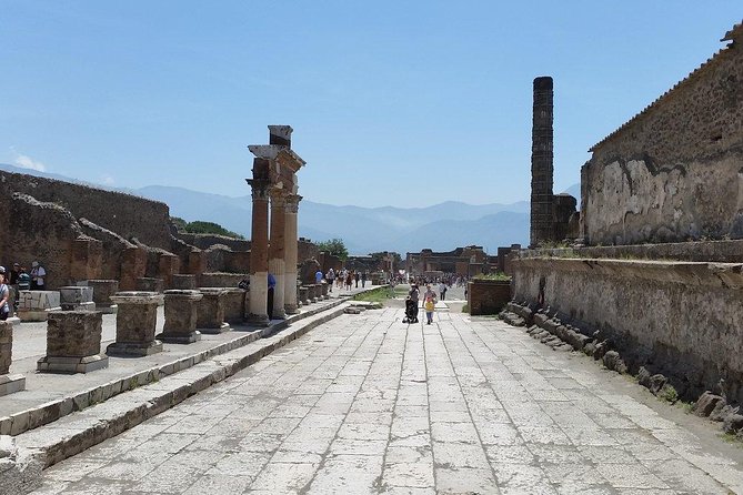 Private Guided Tour of Pompeii and Herculaneum - Booking Process