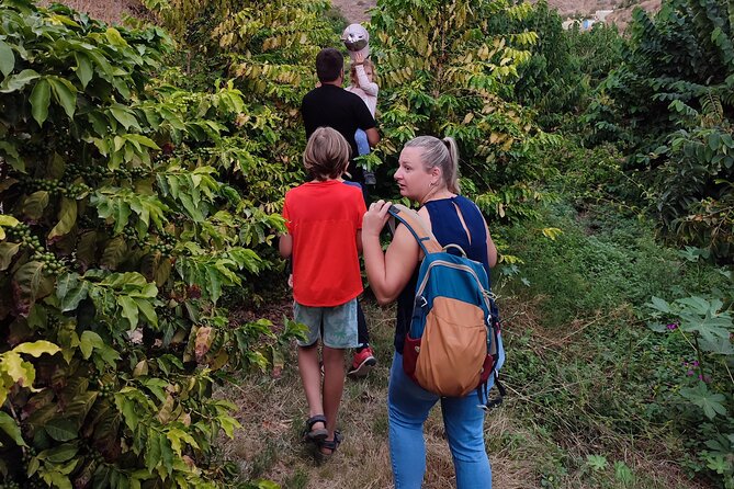 Private Guided Tour to the Only Coffee Farm in Europe - Tour Duration