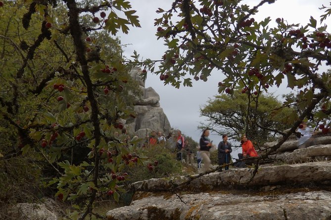 Private Guided Tour to Torcal De Antequera - Background
