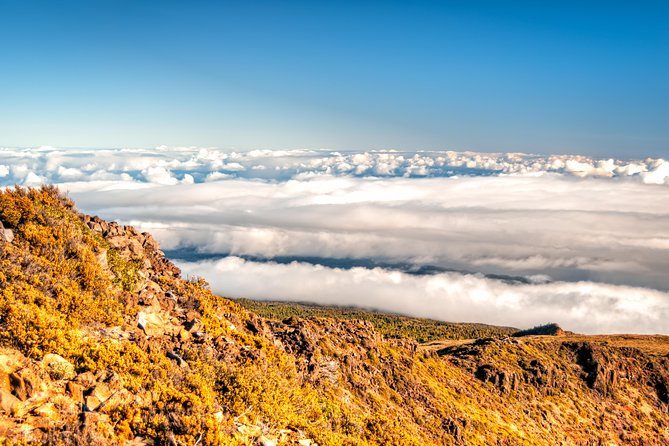 Private Half-Day Haleakalā Hike in Kahului  - Maui - Safety Precautions