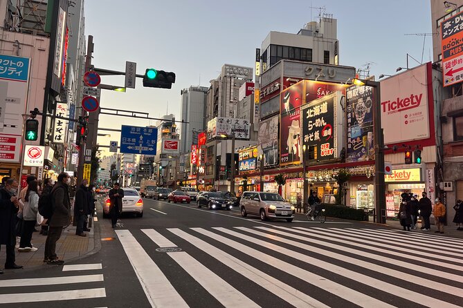 Private Half-Day Tour Colorful and Busy Street in Central Tokyo - Booking and Contact Information
